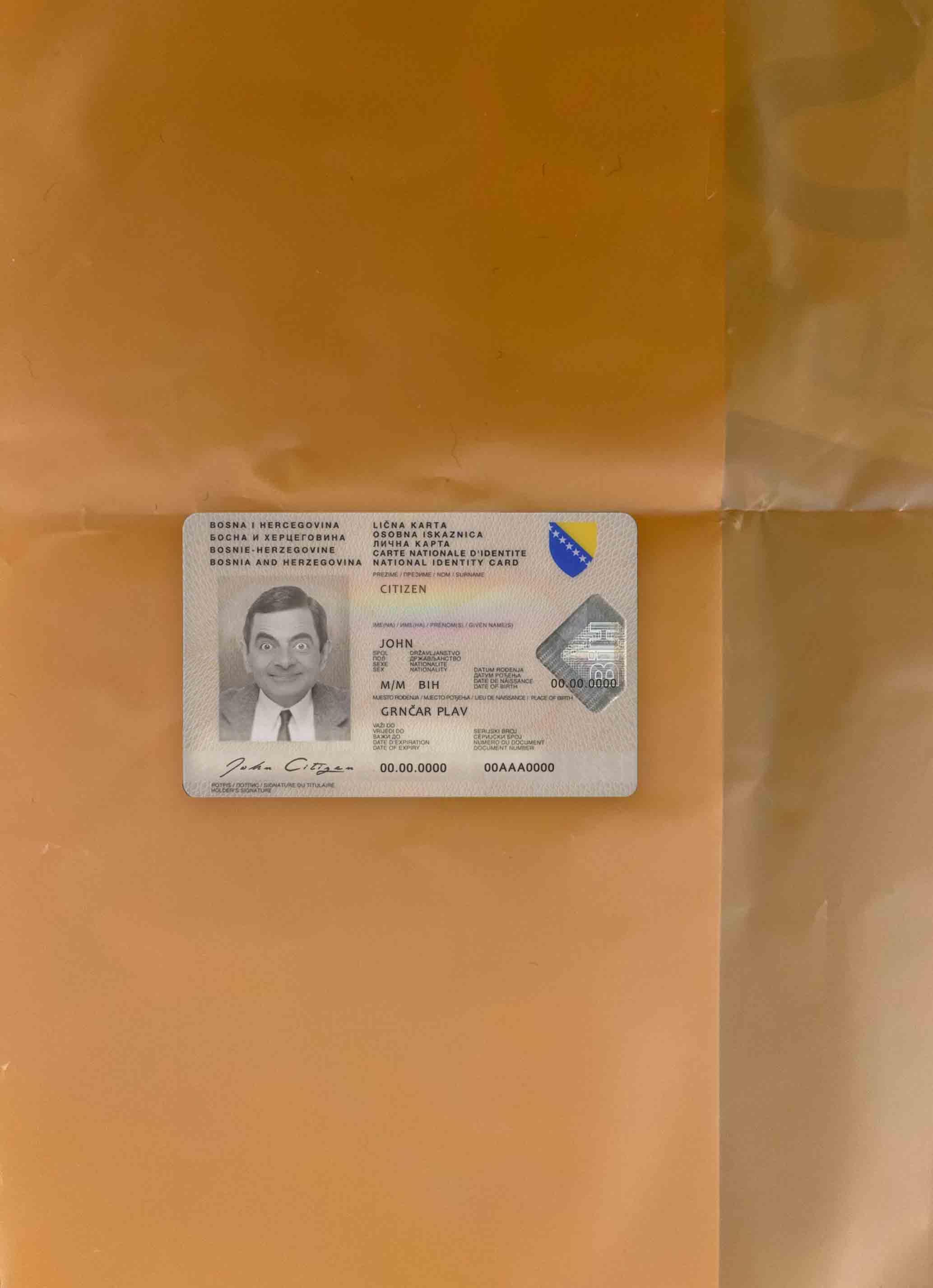 Downloadable Bosnia and Herzegovina Id photolook real example